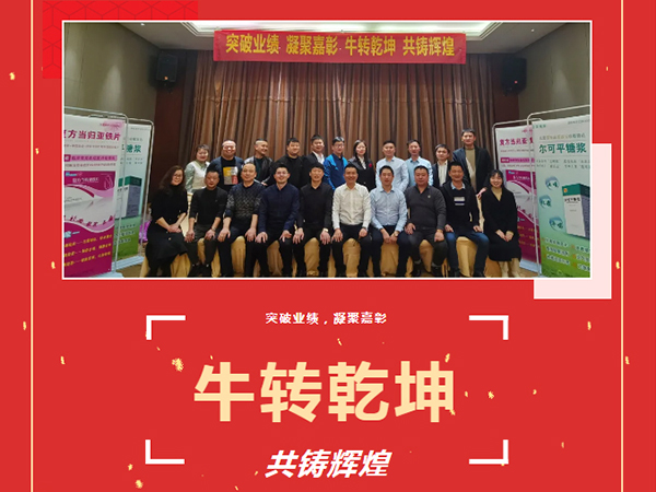 突破業(yè)績、凝聚嘉彰、牛轉(zhuǎn)乾坤、共鑄輝煌